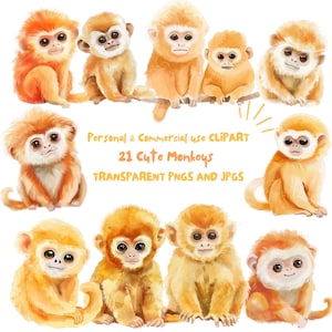 Watercolor Cute Monkey Clipart|Golden Monkey Nursery Clipart, Crafts and Scrapbooking|21 PNG and JPG Files|Digital Download|Commercial Use