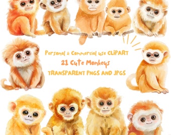 Acquerello carino scimmia Clipart/Golden Monkey Nursery Clipart, Artigianato e Scrapbooking/21 file PNG e JPG/Download digitale/Uso commerciale