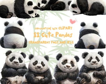 Watercolor Panda Clipart, Pandas Clipart, Cute Animal Clipart, 11 PNGs and JPGs, Instant Download for Crafting Baby Animals, Commercial Use