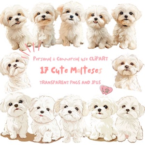 Maltese Dog Clipart|17 High-Quality PNG and JPG Files|Sublimation, Digital Planner, Wall Art, Junk journal, Digital Download|Commercial Use