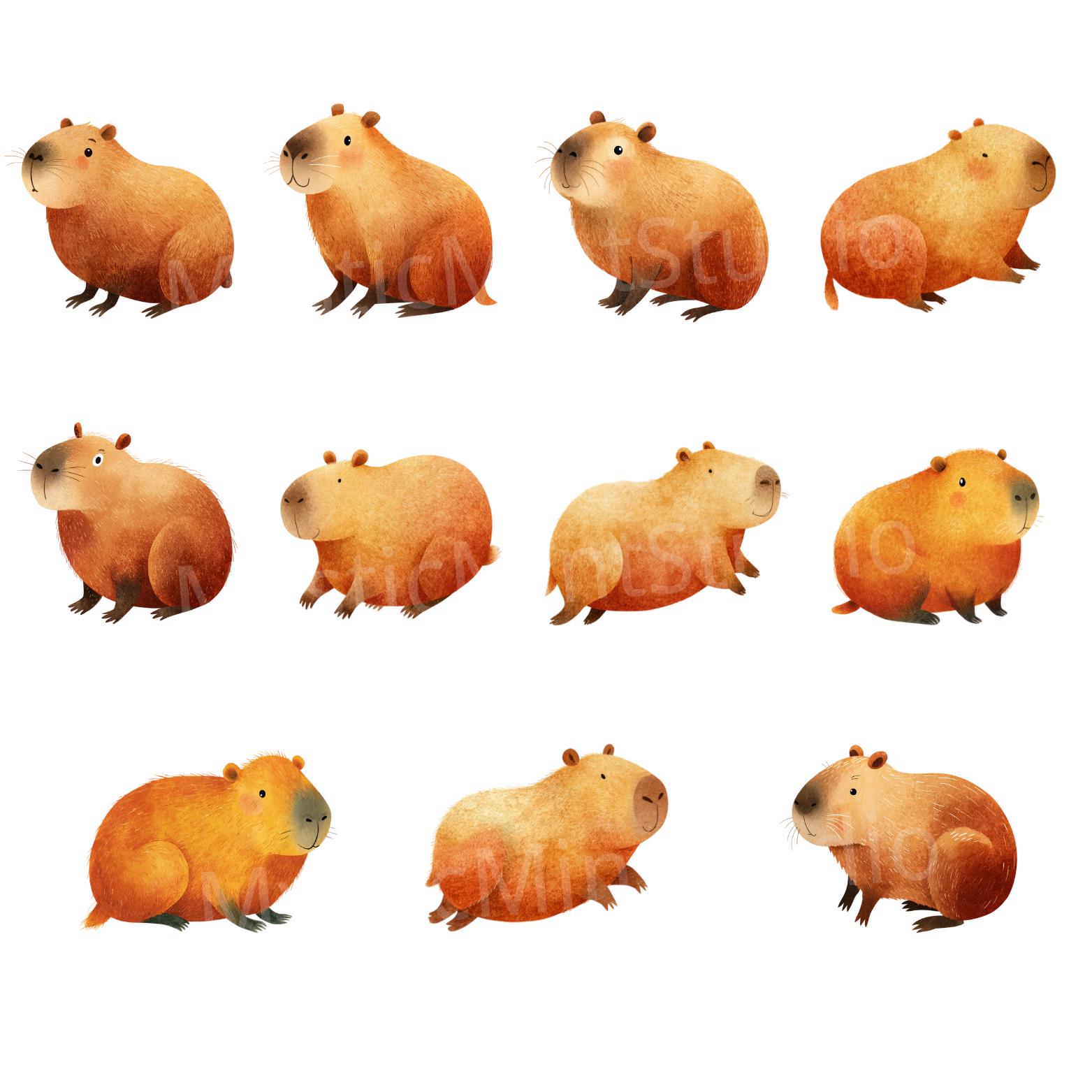 Watercolor Capybara Clipart Bundle: Nursery Art PNG (digital Download ...