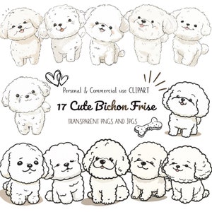 Bichon Frise Hund Clipart|17 Hochwertige PNG und JPG Dateien|Sublimation, Digitaler Planer, Wandkunst, Junk Journal, Digitaler Download|Kommerzielle Nutzung