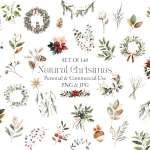 Clipart di Natale botanico ad acquerello / Clipart di Natale verde / Clipart di Natale floreale / Clipart di piante di Natale / Pino e agrifoglio