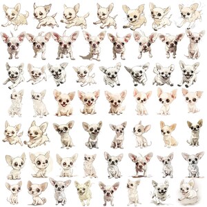 K&ouml;nnte beinhalten: Eine Sammlung von 50 digitalen Illustrationen verschiedener Chihuahua-Hunde in verschiedenen Posen. Die Hunde sind alle wei&szlig; mit braunen Markierungen und im Cartoon-Stil gezeichnet.