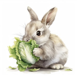 45 Fluffy Bunny Floral e Cenoura Cute Rabbit Aquarela Clipart, JPGs de alta resolução, download instantâneo para elaboração de uso comercial