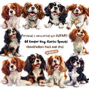 Clipart Cavalier King Charles Spaniel, 68 PNG e JPG ad alta risoluzione, Download istantaneo per la creazione di clipart per cuccioli di animali per uso commerciale