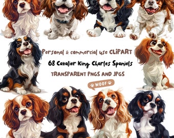 Cavalier King Charles Spaniel Clipart, 68 High-Resolution PNGs and JPGs, Instant Download for Crafting Baby Animals Clipart Commercial Use