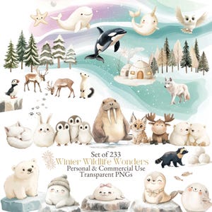 Clipart di animali artici ad acquerello / Clipart di animali polari / PNG di animali invernali / Clipart di animali del nord / Animali per la decorazione della cameretta dei bambini / 233 PNG