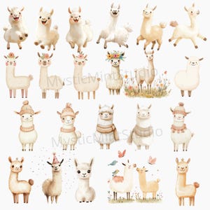 May include: A set of 20 digital clipart images featuring cute llamas in various poses and wearing different accessories. The llamas are illustrated in a watercolor style with soft colors and delicate details.