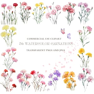 Nelke 56 JPGs und PNGs, digitaler Download für Blumen Druck, druckbare Nelke Clipart Hochzeitseinladung für kommerzielle Nutzung