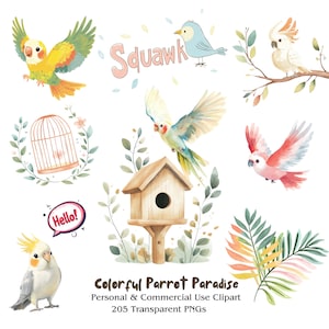 Niedliches Aquarell Papagei Clipart | Tropischer Vogel Clipart | Vogel Clipart | 205 PNG | Kinderzimmer Dekor | Junk Journal | Sofort Download