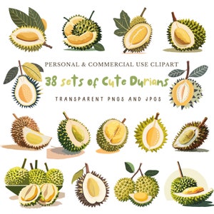 Clipart z owocami Durian|38 wysokiej jakości obrazów PNG i JPG|Sublimacja,Planer cyfrowy,Klipart kuchenny,Dziennik śmieciowy,Pobieranie cyfrowe|Użycie komercyjne