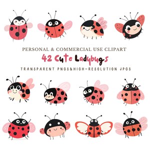 Acquerello carino coccinella Clipart insetti Clipart/Clipart di vivaio, artigianato e Scrapbooking/42 file PNG e JPG/Download digitale/Uso commerciale