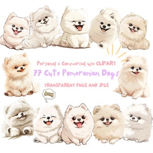 Cute Pomeranian Dog Pom Puppies Pommy Clipart|77 High-Quality PNG and JPG| Sublimation,Wall Art,Junk journal,Digital Download|Commercial Use