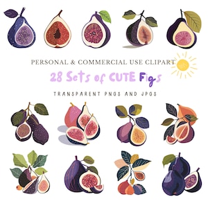 Fig Fruit Clipart|28 High-Quality PNG and JPG Files|Sublimation,Digital Planner,Kitchen Clipart,Junk journal,Digital Download|Commercial Use