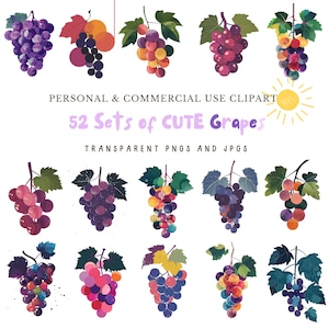 Aquarell Trauben Clipart, Obst Clipart, Trauben Illustration, Trauben Bunch Clipart, Wein Clipart, 52 PNGs und JPGs, Instant Download
