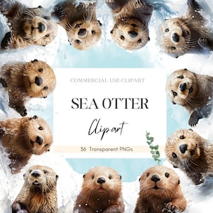 Niedliche Seeotter-Sammlung: Hochwertiges PNG-Digitalpaket mit 36 Otterbildern, Sofort-Download Kommerzielle Nutzung Babyparty-Grafiken