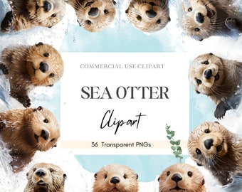 Cute Sea Otter Collection: High-Quality PNG Digital Bundle of 36 Otter Images, Instant Download Commercial Use Baby Shower Graphics