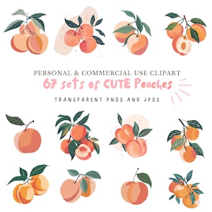 Peach Fruit Clipart|67 High-Quality PNGs and JPGs|Sublimation,Digital Planner,Kitchen Clipart,Junk journal,Digital Download|Commercial Use