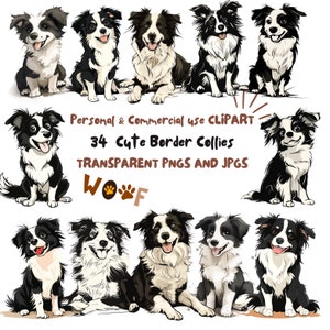 Border Collie Hund Clipart|34 hochwertige PNG und JPG|Sublimation, digitaler Planer, Wandkunst, Junk-Journal, digitaler Download|Kommerzielle Nutzung