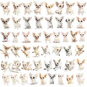 K&ouml;nnte beinhalten: Eine Sammlung von 48 Illustrationen verschiedener Chihuahua-Hunde in verschiedenen Posen. Die Hunde sind alle wei&szlig; und haben schwarze Augen und Nasen. Die Illustrationen sind im Cartoon-Stil gezeichnet.