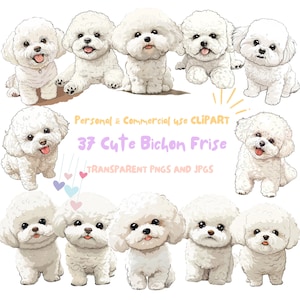 Bichon Frise Dog Clipart|37 High-Quality PNG and JPG Files|Sublimation,Digital Planner,Wall Art,Junk journal,Digital Download|Commercial Use
