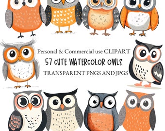 Watercolor Cute Owl Clipart Bird Clipart|Nursery Clipart, Crafts and Scrapbooking|57 PNG and JPG Files|Digital Download|Commercial Use