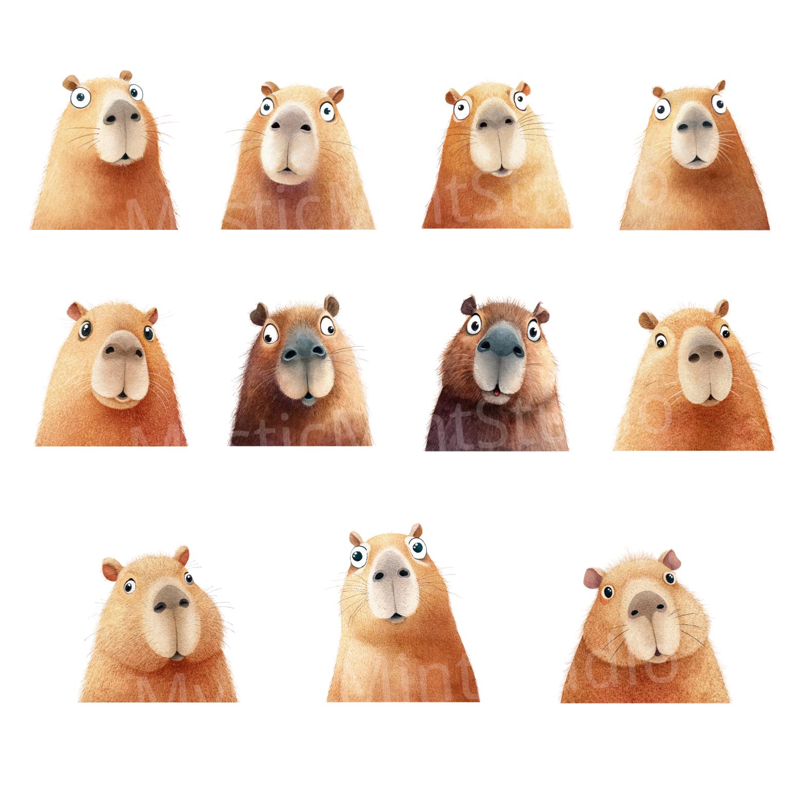 Watercolor Capybara Clipart Bundle: Nursery Art PNG (digital Download ...