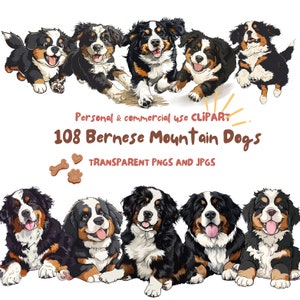 Berner Sennenhund Clipart|108 hochwertige PNG und JPG |Sublimation, digitaler Planer, Wandkunst, Junk Journal, digitaler Download|kommerzielle Nutzung