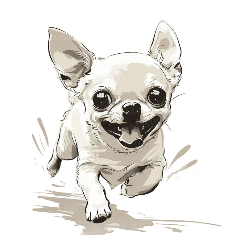 K&ouml;nnte beinhalten: Eine Schwarzwei&szlig;illustration eines kleinen, kurzhaarigen Chihuahuas, der mit herausgestreckter Zunge auf den Betrachter zu rennt. Der Hund hat einen gl&uuml;cklichen Gesichtsausdruck.