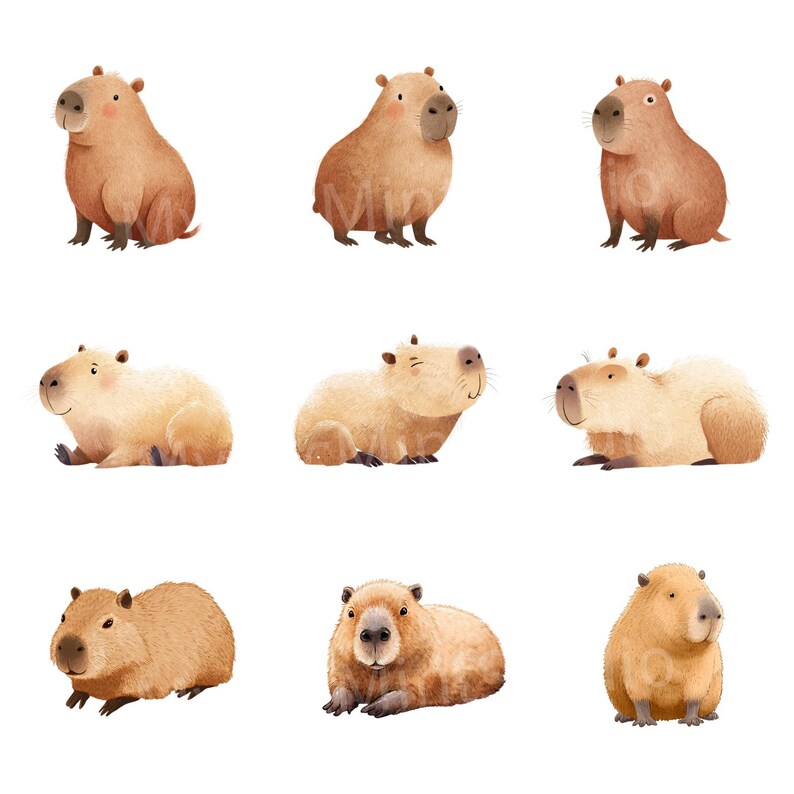 Watercolor Capybara Clipart Bundle: Nursery Art PNG (digital Download ...