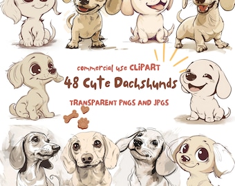 48 Cute Dachshund Clipart- Baby Dachshund Illustrations PNGs and JPGs - High-Resolution Digital Download for Commercial Use