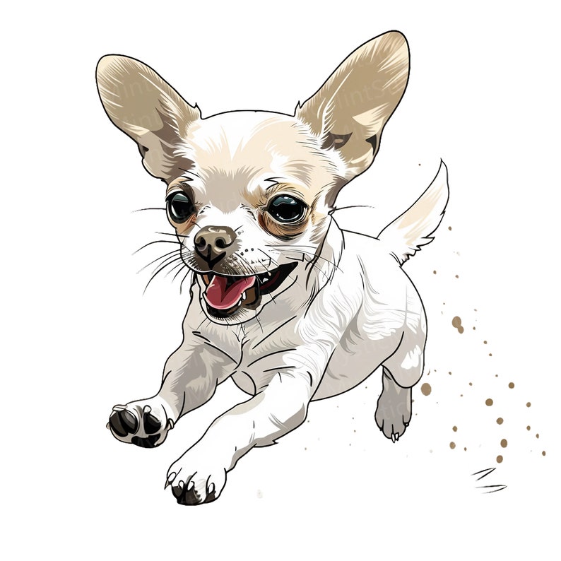 K&ouml;nnte beinhalten: Ein wei&szlig;er Chihuahua mit braunen Ohren und gro&szlig;en braunen Augen rennt mit offenem Maul und herausgestreckter Zunge. Der Hund befindet sich auf einem wei&szlig;en Hintergrund mit braunen Farbspritzern.