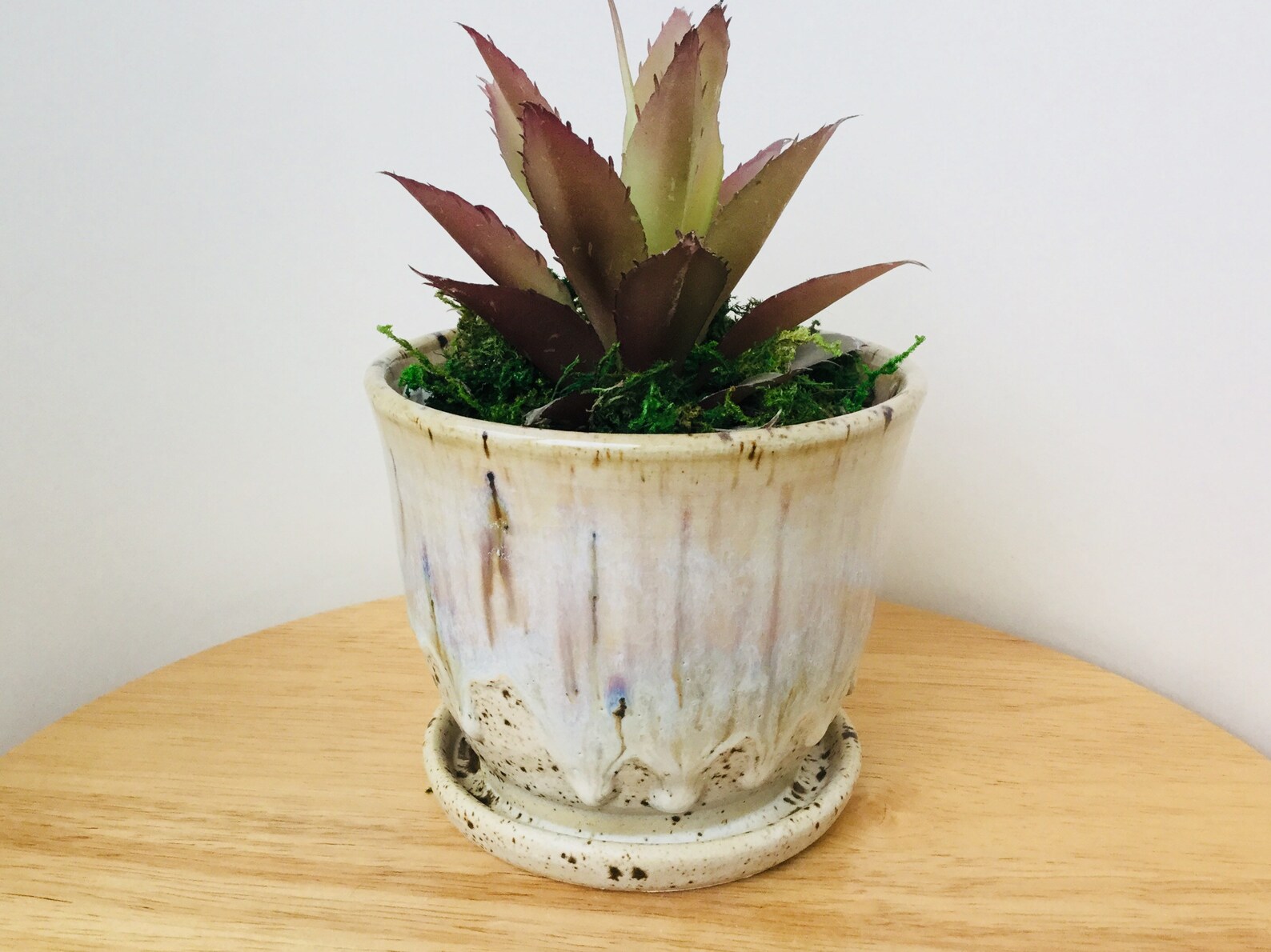 Table Top Planter Ceramic Planter Pottery Planter Succulent Etsy