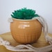 see more listings in the Planters section