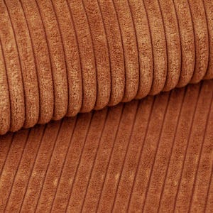 May include: Close-up of a section of brown corduroy fabric. The fabric has a ribbed texture with vertical ridges and a soft, plush appearance. The color is a warm, earthy tone.