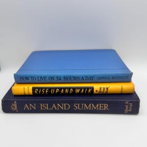 May include: Three hardcover books stacked on top of each other. The top book is blue and reads "HOW TO LIVE ON 24 HOURS A DAY". The middle book is yellow and reads "RISE UP AND WALK". The bottom book is navy and reads "AN ISLAND SUMMER".