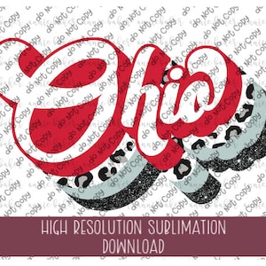 Ohio Brushstroke PNG - Ready To Print Sublimation Design - School Mascot PNG
