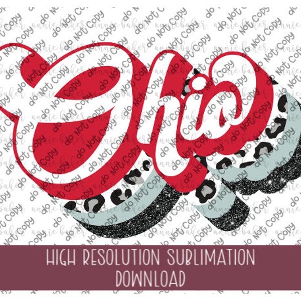 Ohio Brushstroke PNG - Ready To Print Sublimation Design - School Mascot PNG