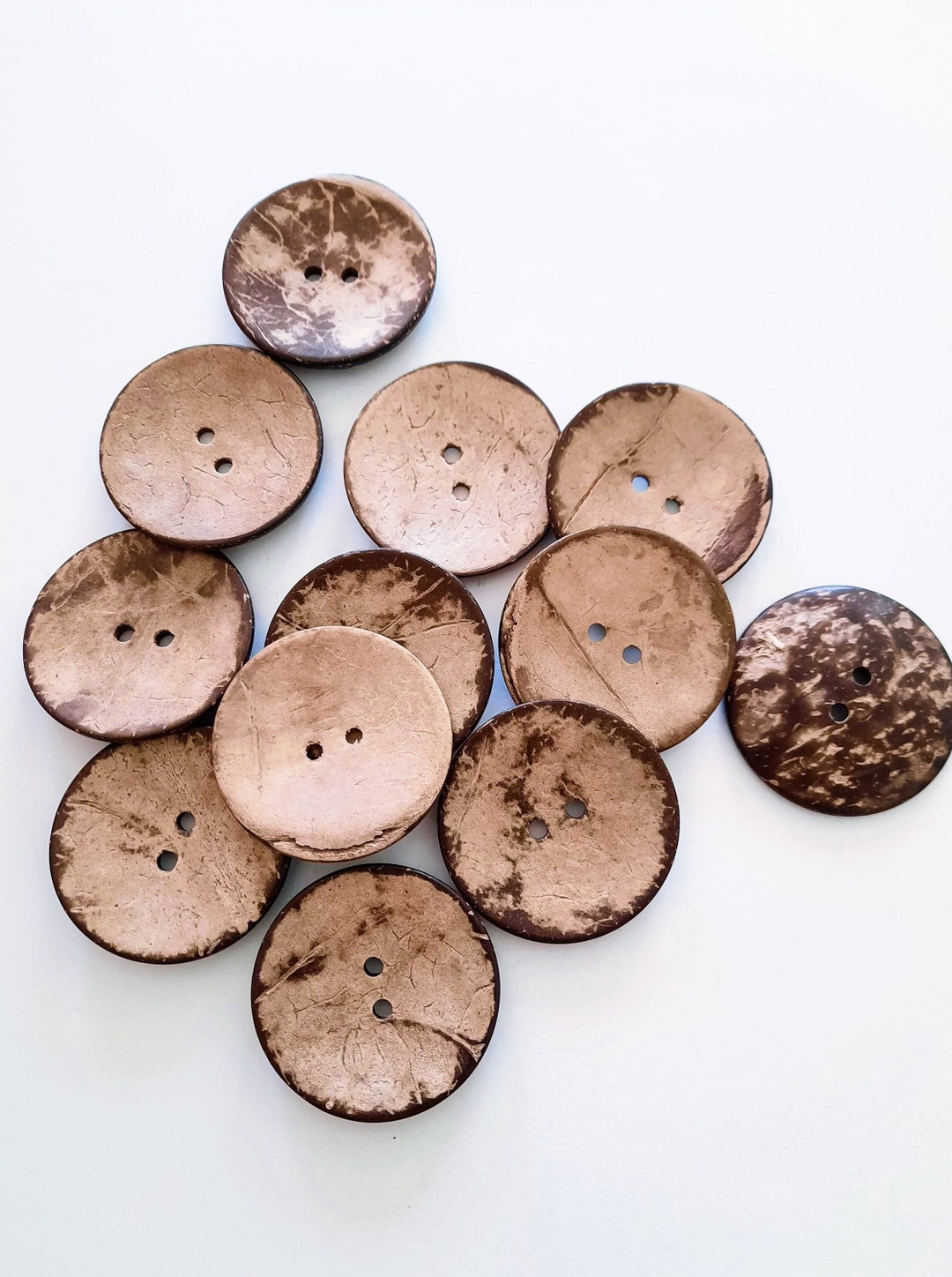 Large Shell Buttons Huge! 50mm (2