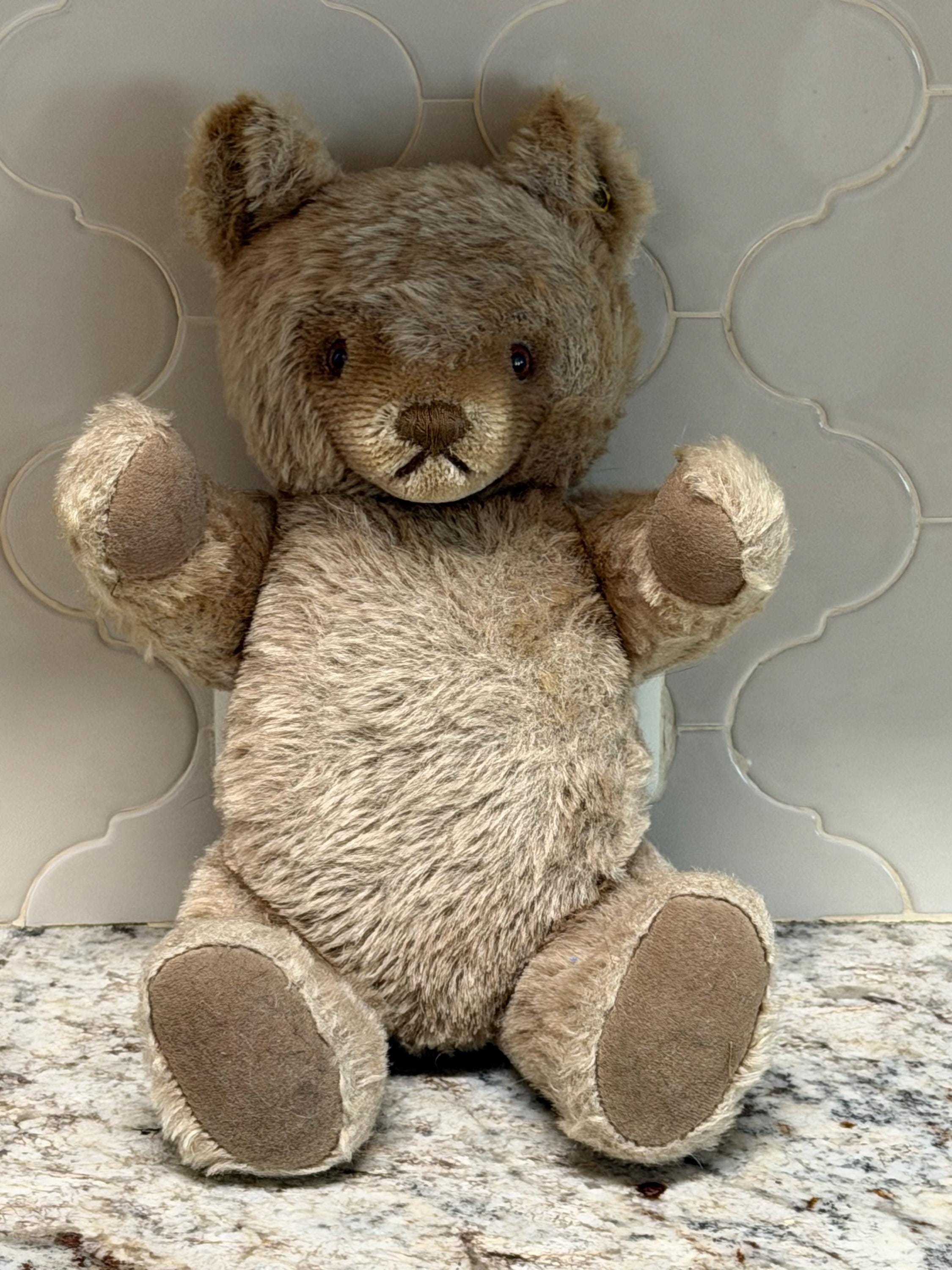 Steiff Bears - Etsy