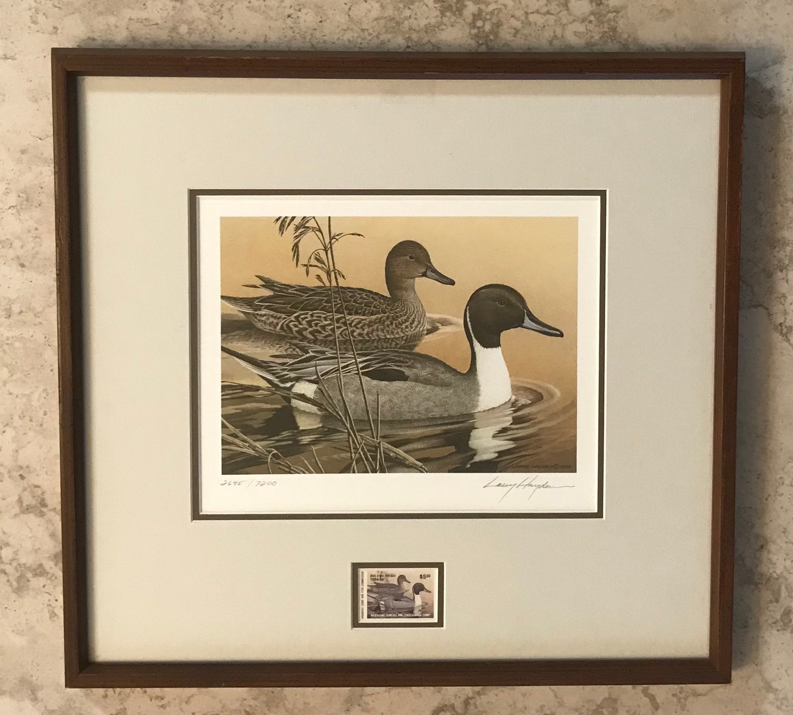 Vintage Print by Larry Hayden Arkansas Duck Stamp Print 1984 Etsy