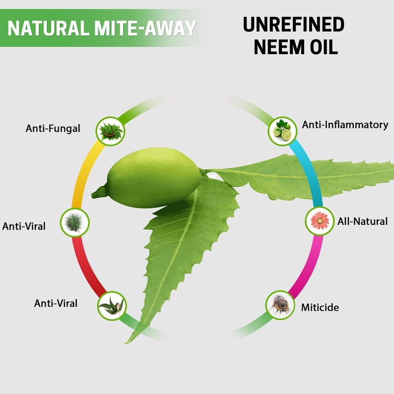 Extra Strength Scabies Ointment Scabicide Cream for Scabies Etsy