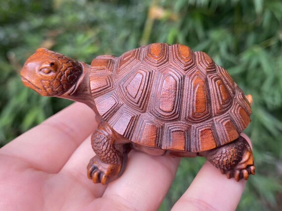 Mini tortoise cheap pet