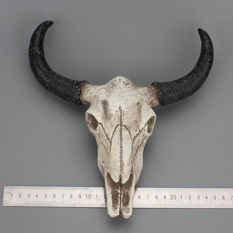 Ox Horn OX Skull Bull Skull Skeleton Wall Hanging Decoration Etsy