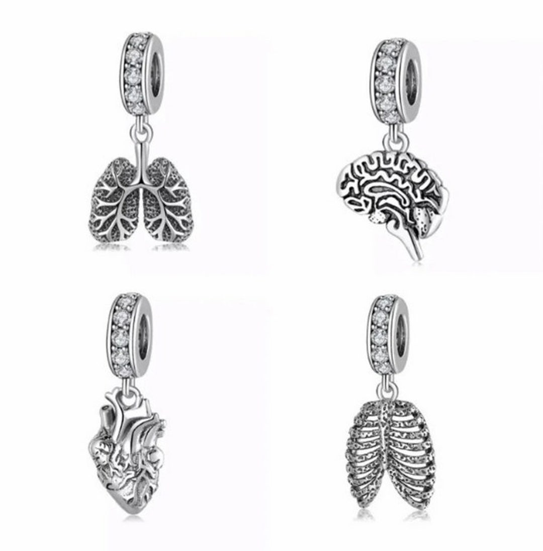 Anatomy Women Fit Charm, Anatomy Charm Bracelet, Brain Charm, Lungs ...