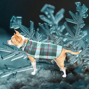 Suéter polar personalizado para perro: Benefit Animal Rescue. Los pedidos personalizados corren por nuestra cuenta. Hecho en Oregón. Lavable.