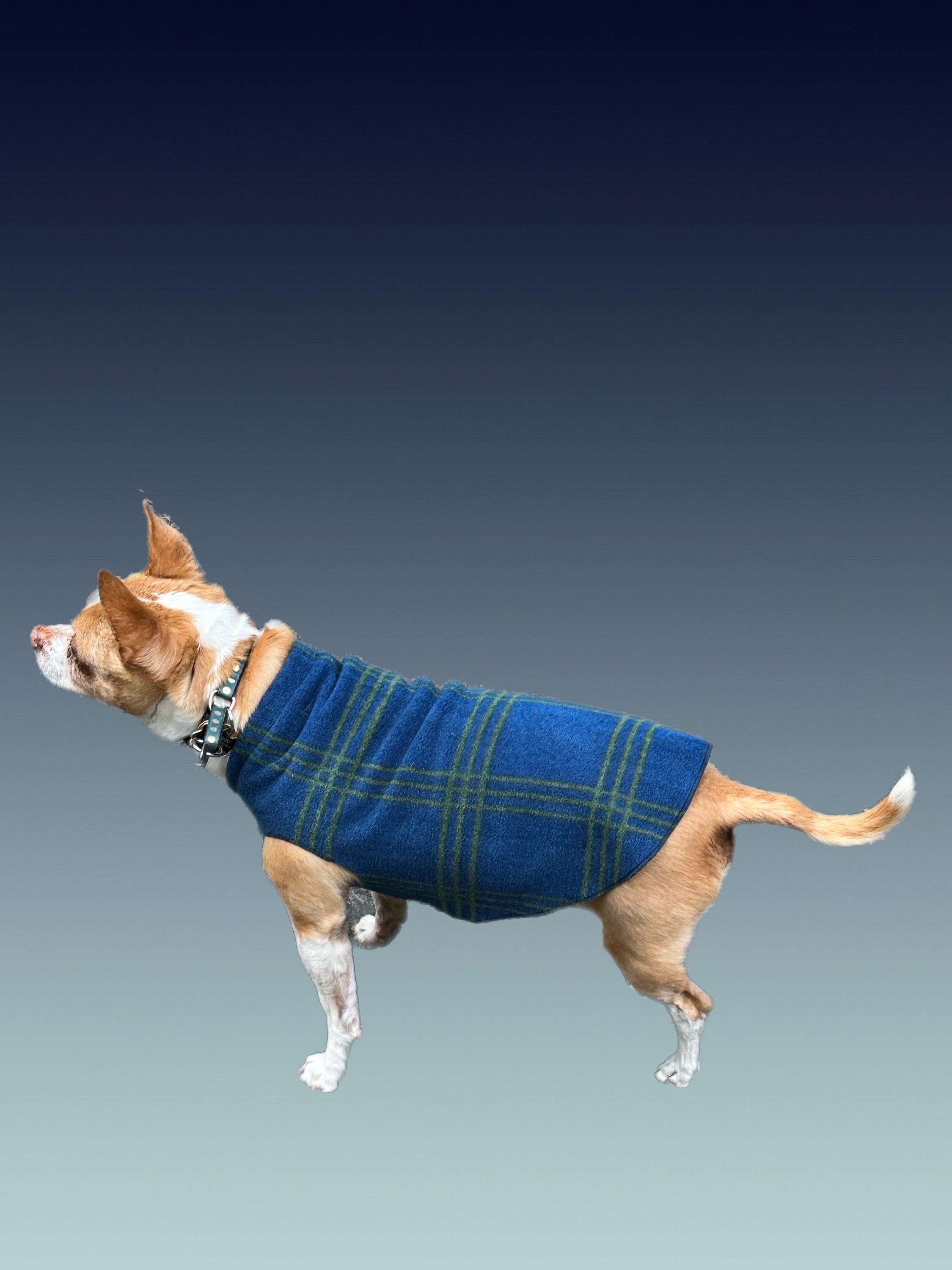 Fleece shirts hotsell for dogs
