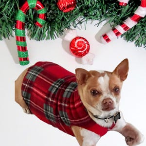 May include: A small, white and brown dog wearing a red and black plaid fleece sweater. The dog is lying down on a white background with Christmas decorations.