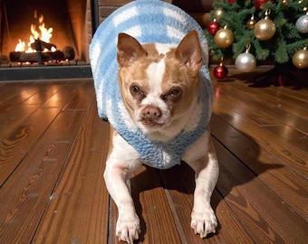 May include: A small dog with brown and white fur wearing a light blue and white checkered fleece sweater. The sweater features a textured, fuzzy material and covers the dog's back and chest area, leaving the legs and head exposed for movement.